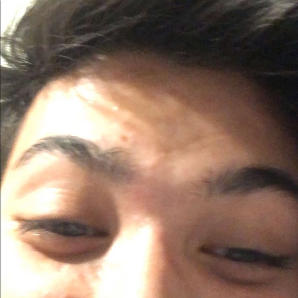 Meet your Posher, Koko - Picture 1 of 1